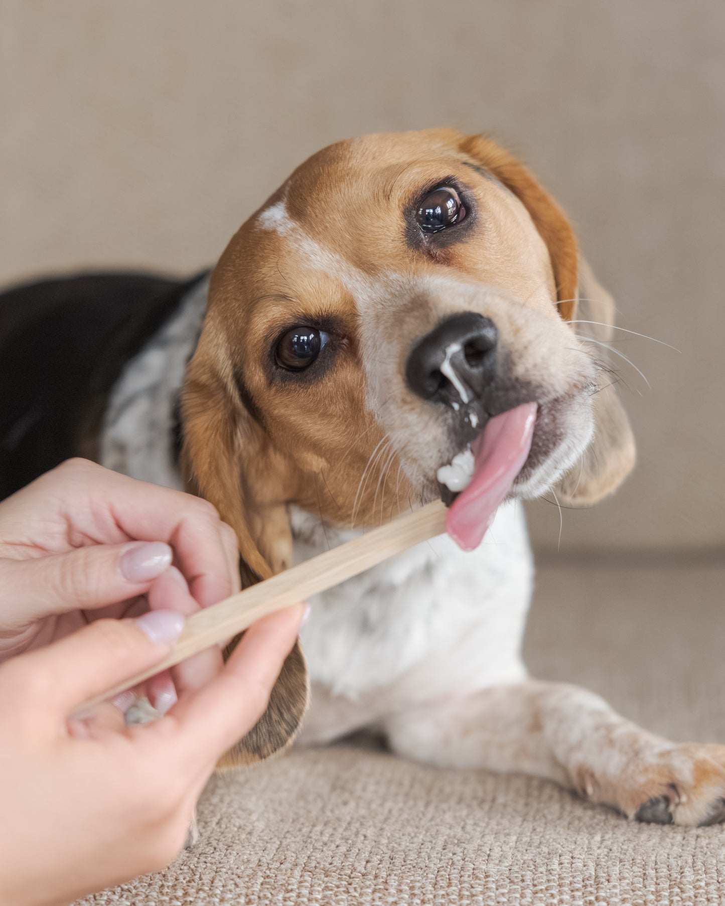 Dual-End Bamboo Pet Toothbrush