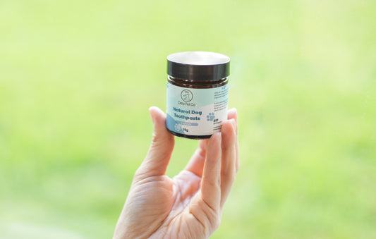 Natural Pet Toothpaste